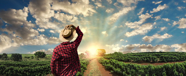 O PRODUTOR RURAL E O PLANEJAMENTO PATRIMONIAL